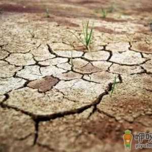 2022年为什么干旱地区多