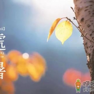 2022处暑之后天气会凉快一些吗