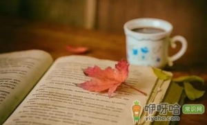 2022年专升本是大二考还是大三考