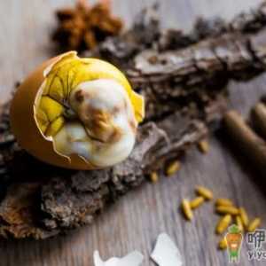 活珠子是发物吗