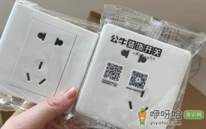 德力西开关插座和公牛的哪个好