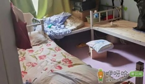 群租房110管不管