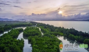 2022广东省中秋节高速公路免费吗