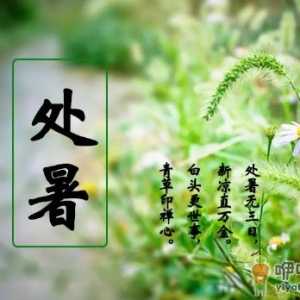 2022年处暑交运是几点到几点