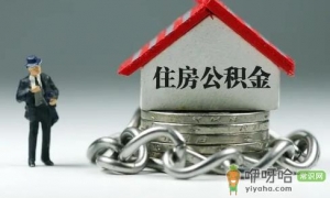 月供压力大要不要买小户型