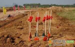 2022年11月6日宜建房动土吗