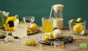 鸭屎香柠檬茶要闷泡吗
