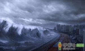 2035年到底是什么灾难发生