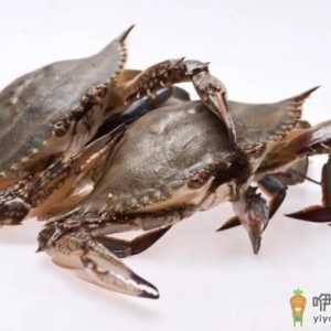 梭子蟹什么样的肉多