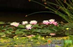 以后夏天会一年热过一年吗