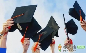 为什么专科学信网查不到