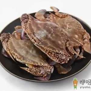 梭子蟹二母蟹是什么意思