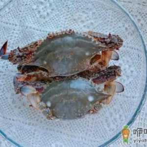 买梭子蟹是买活的还是冰冻的
