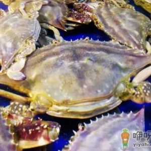 梭子蟹冻死了能不能吃了