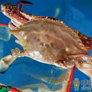 梭子蟹黄多还是大闸蟹黄多