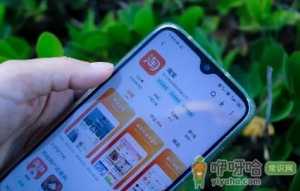 淘宝省钱卡被强制解约了怎么办