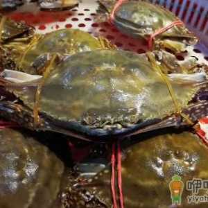 冻梭子蟹怎么分辨坏没坏