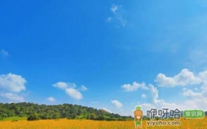 2022年几月份就转凉了