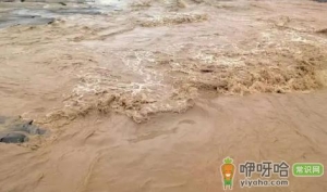 2030年毁灭性洪水是真的吗