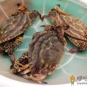 网上买梭子蟹为什么都是冷冻的