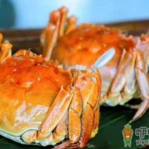 吃大闸蟹是沾醋还是酱油