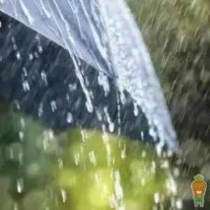 2022深圳10月份雨水多吗