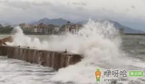2022年台风梅花什么时候登录山东