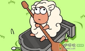 羊了个羊进不去怎么回事