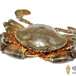 青蟹放冰箱冷藏会死吗