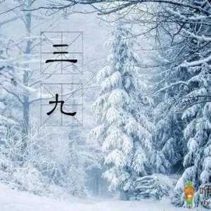 2023年三九天是几号开始几号结束