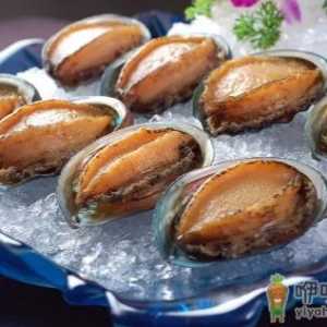 冷冻鲍鱼先解冻还是先煮一下