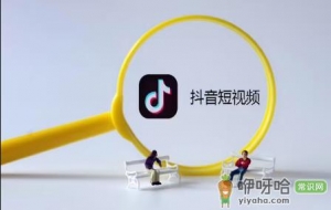 正版抖音为什么领不到金币