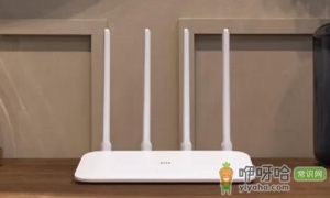 路由器不用需要关吗