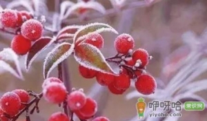 2022霜降后可以穿棉袄吗