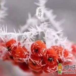 2022霜降每年都是同一天吗