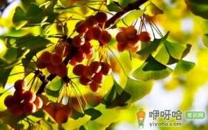 2022南京大概几月份天气变凉