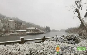 2023年哈尔滨1月份会下雪吗