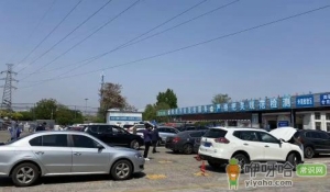 审完车了12123为什么还不显示