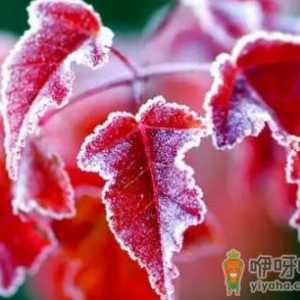 2022年霜降不能结婚吗