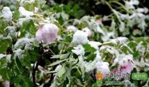 2023春节过后会倒春寒吗