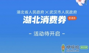 惠购湖北消费券第三轮什么时候开始2022