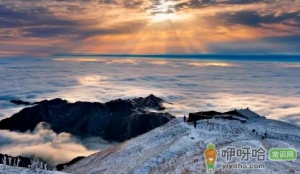 2022年国庆去武功山草还绿吗