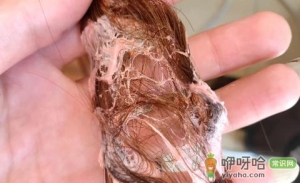 头发上有口香糖用冰块洗可以吗