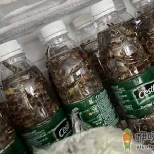活虾可以放矿泉水瓶保存吗