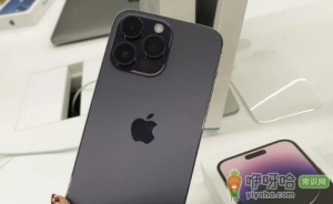 授权店买的applecare能退吗