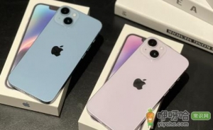 2022双十一买苹果13还是14划算