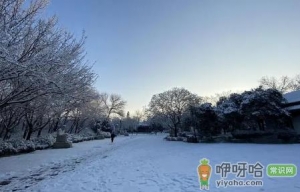 2022年冬至会不会下雪