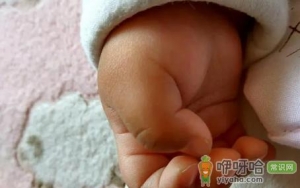 女人手胖有福还是手瘦有福