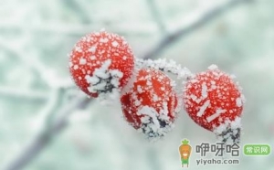 2022年霜降会提前吗