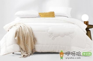 大豆被是不是智商税